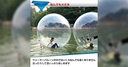 Web site image