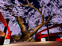Web site image