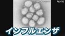 Web site image