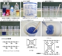 Web site image