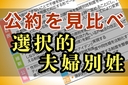 Web site image