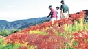 Web site image