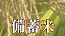 Web site image