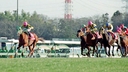 Web site image