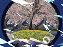 Web site image