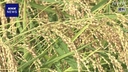 Web site image