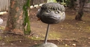 Web site image