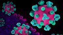 Web site image