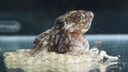 Web site image