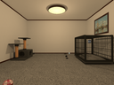 Web site image