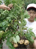 Web site image