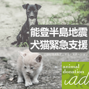 Web site image
