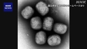 Web site image