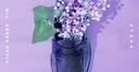 Web site image