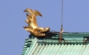 Web site image