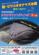 Web site image