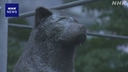 Web site image