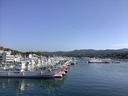 Web site image