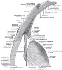 Web site image