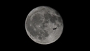 Web site image