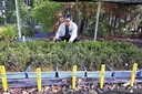 Web site image