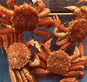 Web site image