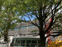 Web site image