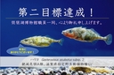 Web site image