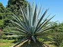 Web site image