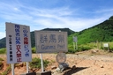 Web site image