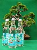 Web site image