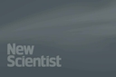 Web site image