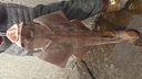 Web site image
