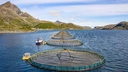 Web site image