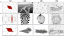 Web site image