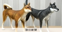 Web site image