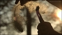 Web site image