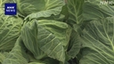 Web site image