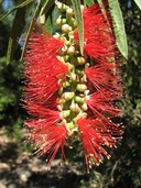 Web site image