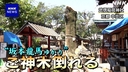 Web site image