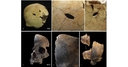 Web site image