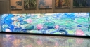 Web site image