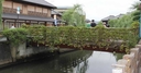 Web site image