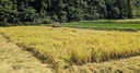 Web site image