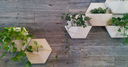 Web site image