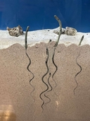 Web site image
