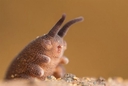 Web site image