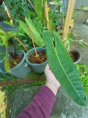 Web site image