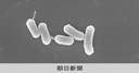 Web site image