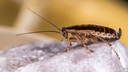 Web site image